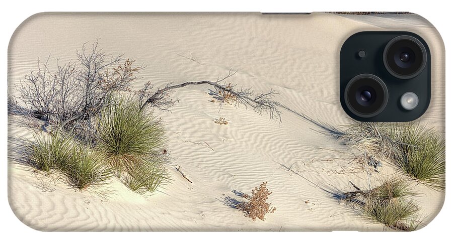 Monahans Sandhills State Park iPhone Case featuring the photograph The Monahans Sandhills by JC Findley