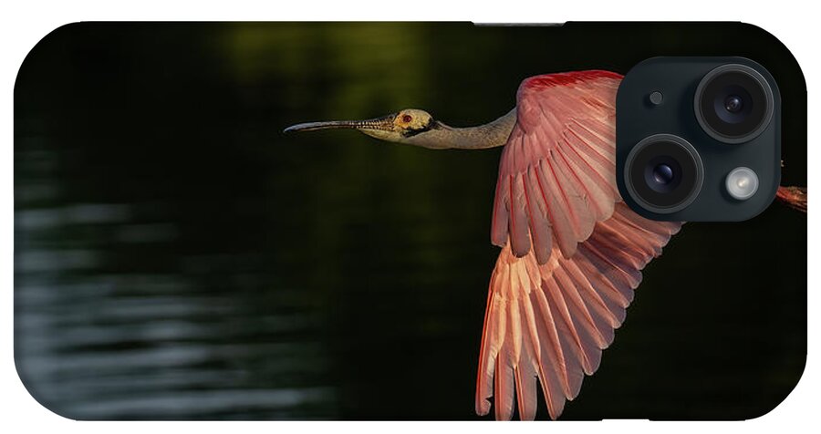 Roseate Spoonbill iPhone Case featuring the photograph The Morning Red Eye by RD Allen