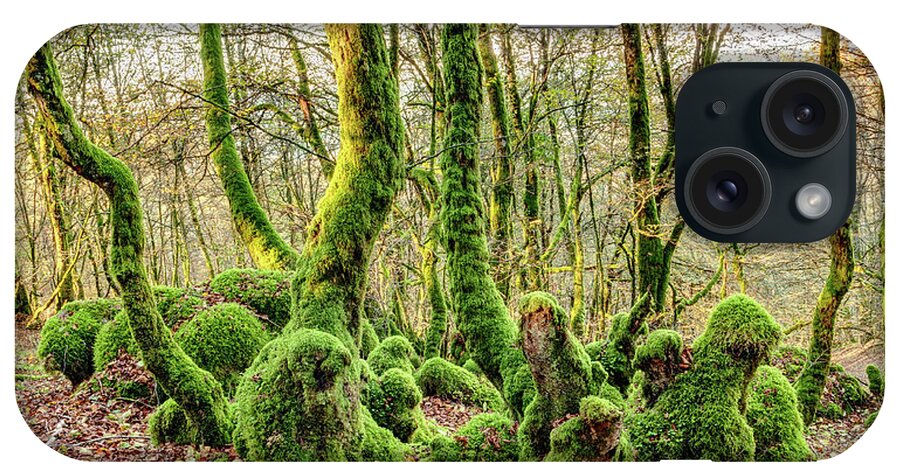Forest iPhone Case featuring the photograph The Mossy Creatures of the old Beech Forest 1 by Weston Westmoreland