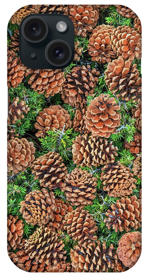 Pine Cones iPhone Case featuring the photograph The Most Courageous Act Is Still To Think For Yourself, Said Coco Chanel. by Bijan Pirnia