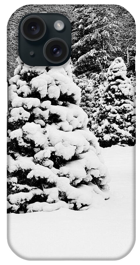 Snow iPhone Case featuring the photograph The Perfect Tree by Steph Gabler