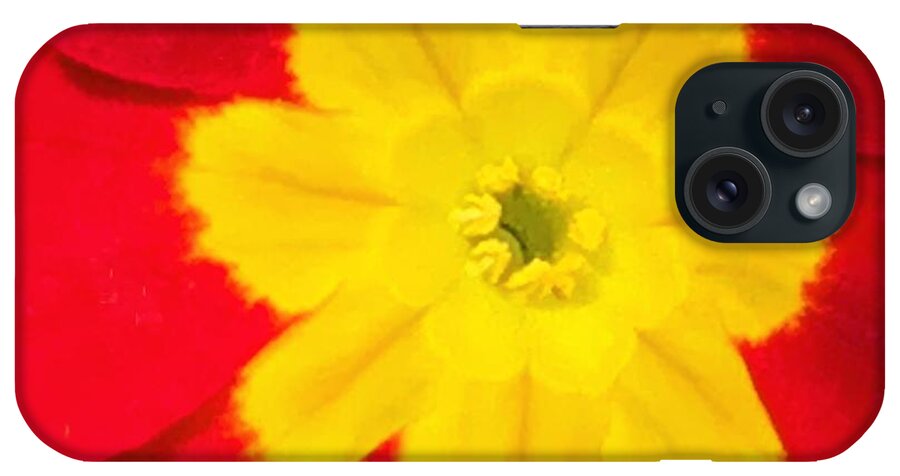 Primula iPhone Case featuring the photograph The Protective Primula by Tiesa Wesen
