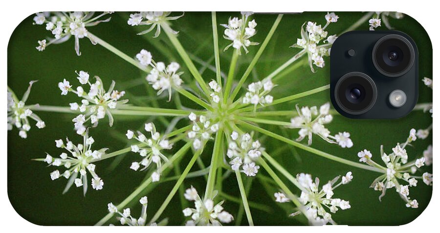 Queen Anne's Lace iPhone Case featuring the photograph The Queen's Crown by Karen Adams
