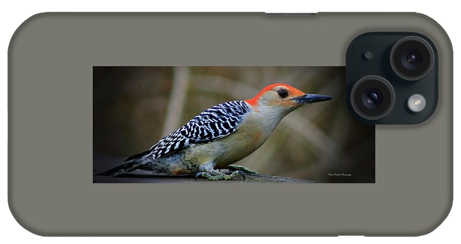 Birds iPhone Case featuring the photograph The Red Bellied Woodpecker by Mary Walchuck
