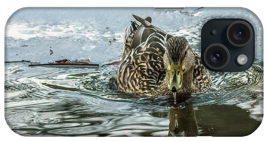 Duck iPhone Case featuring the photograph Icy Reflection by Lorraine Cosgrove