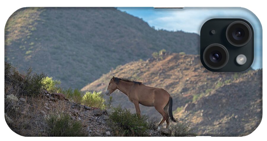 Stallion iPhone Case featuring the photograph The Ridgeline. by Paul Martin