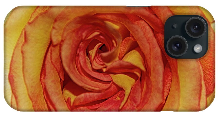  iPhone Case featuring the photograph The Rose in Pink Yellow Orange by Janice Pariza