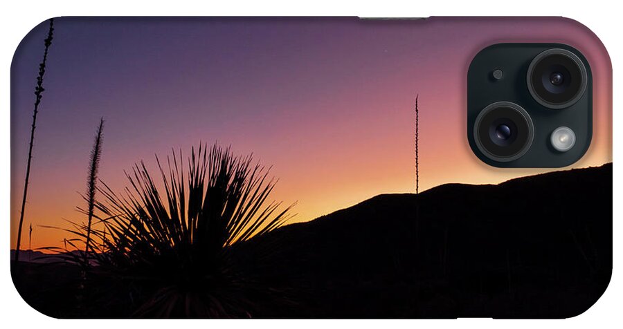 Cactus iPhone Case featuring the photograph The Silhouette of a Cactus at Sunset by Sandra J's
