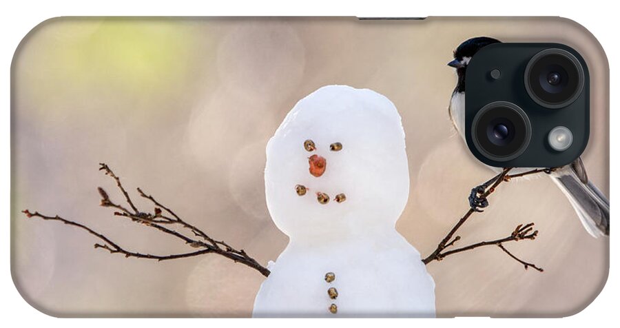 Snow iPhone Case featuring the photograph The Snowman by Karin Pinkham