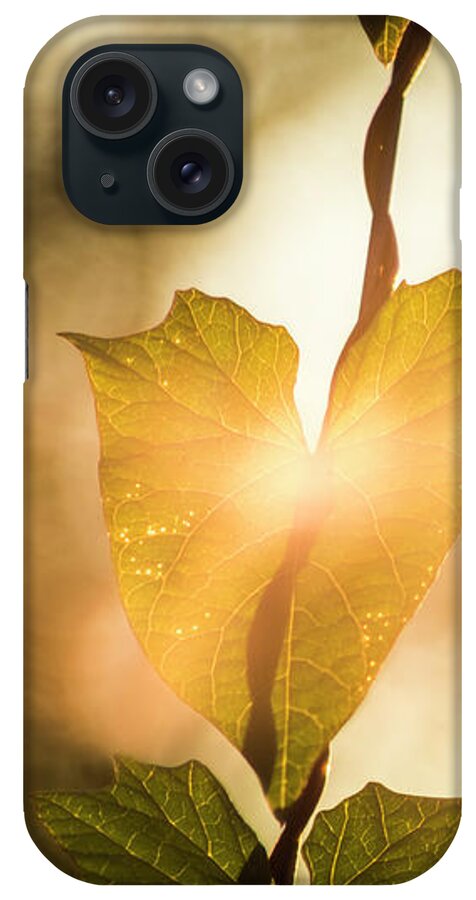 Plant iPhone Case featuring the photograph The touch of dawn by Maria Dimitrova