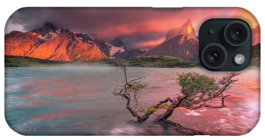 Patagonia iPhone Case featuring the photograph The Twin Trees #3 by Henry w Liu