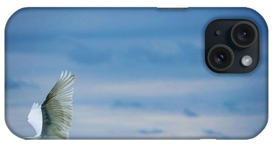 Bird iPhone Case featuring the photograph The V of the Blue by Shawn M Greener