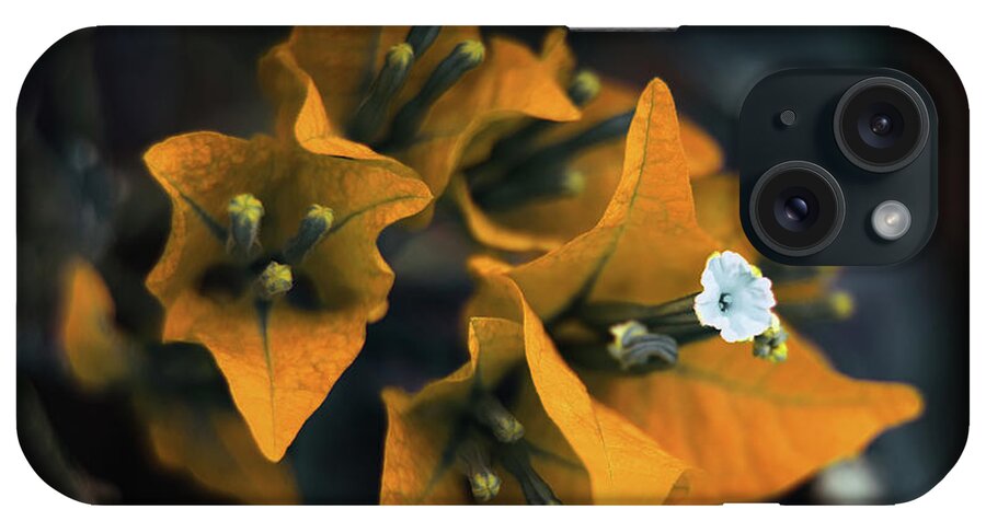 Bougainvillea Art iPhone Case featuring the photograph The Villea by Gian Smith