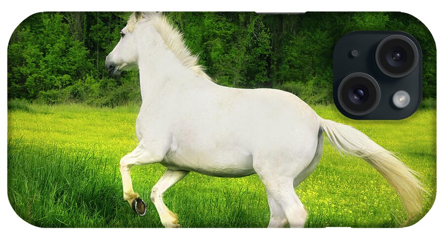 Horse iPhone Case featuring the photograph The White Horse by Shelia Hunt