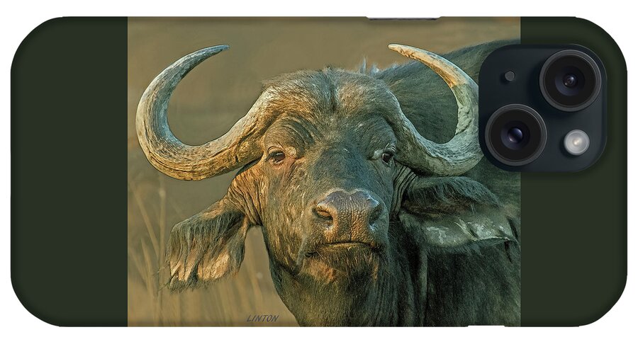 African Cape Buffalo iPhone Case featuring the digital art The Widow Maker by Larry Linton