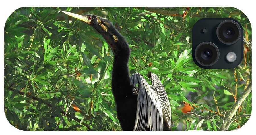 Anhinga iPhone Case featuring the photograph The Wings of an Angel by Scott Cameron