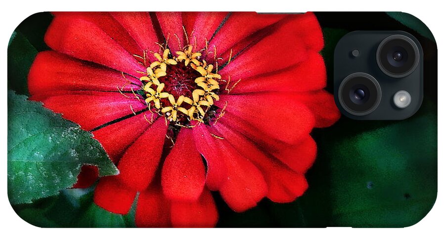 Zinnia iPhone Case featuring the photograph The Zinnia by Tami Quigley