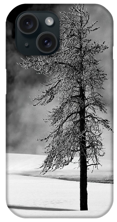 Tall Tree iPhone Case featuring the photograph Thermal Ice by Art Cole