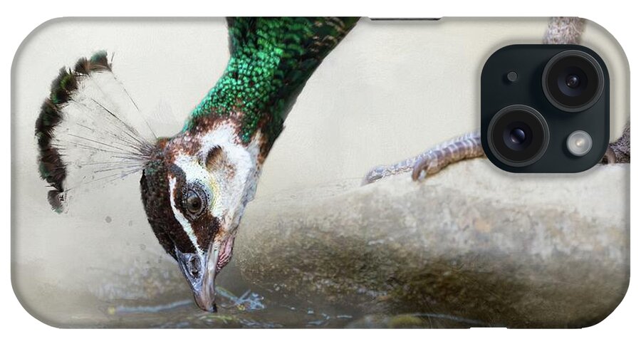 Peacock iPhone Case featuring the photograph Thirsty Peacock by Eva Lechner