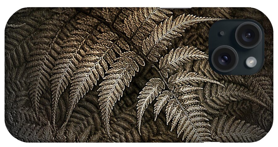 Ferns iPhone Case featuring the photograph This Fern Is Toast by Rene Crystal