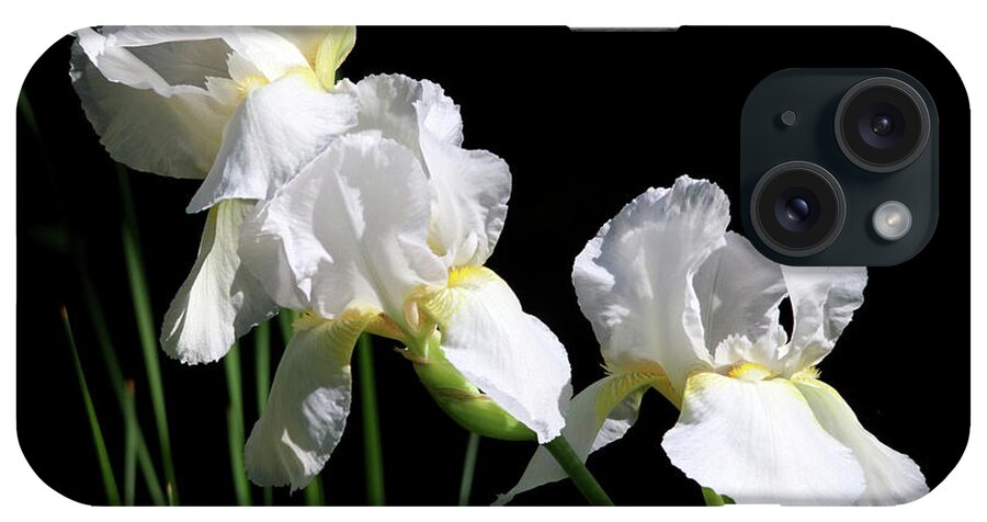 Flowers iPhone Case featuring the photograph Three Beautiful White Irises by Trina Ansel