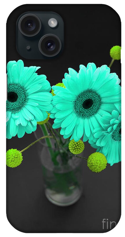 Floral iPhone Case featuring the photograph Three Gerbers--Turquoise by Renee Spade Photography