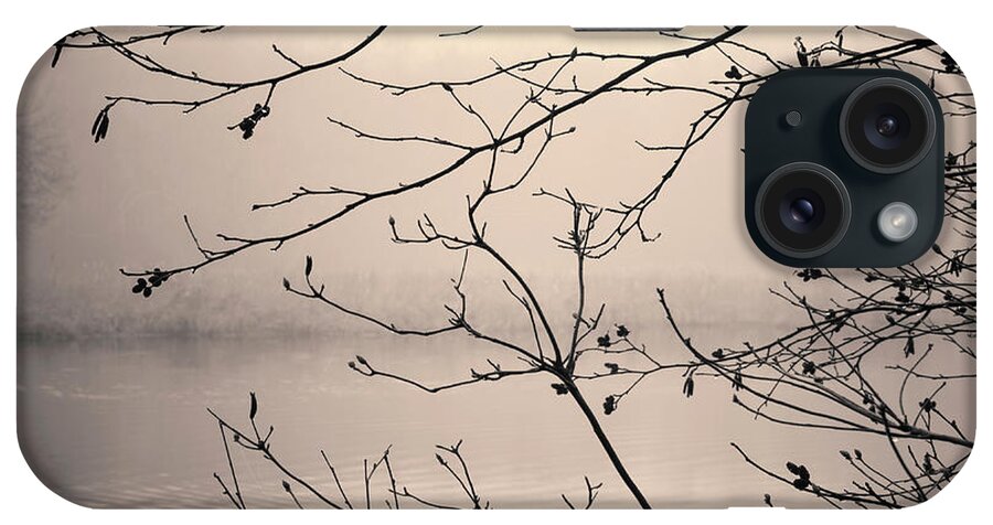 3 Mile River iPhone Case featuring the photograph Three Mile River XVII Toned by David Gordon