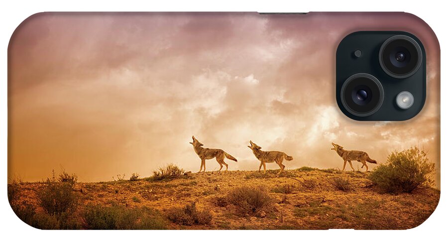 Coyote iPhone Case featuring the digital art Three Part Harmony by Nicole Wilde