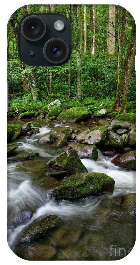 Smoky Mountains iPhone Case featuring the photograph Thunderhead Prong 6 by Phil Perkins