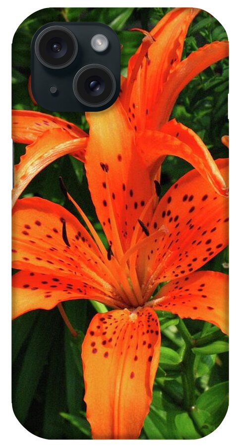 Pic iPhone Case featuring the photograph Tiger Lily by Matthew Adelman
