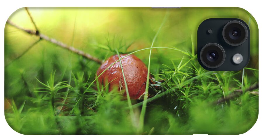 Czech Mushroom iPhone Case featuring the photograph Tiny brown mushroom Imleria badia hidden in the middle of forest moss and needle and show us only brown cap. He is so shy. Mushrooms season. Very small bay bolete with oozy hat by Vaclav Sonnek