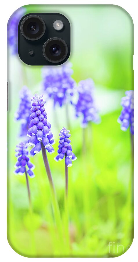 Blossoms iPhone Case featuring the photograph To See the Flowers In It by Marilyn Cornwell
