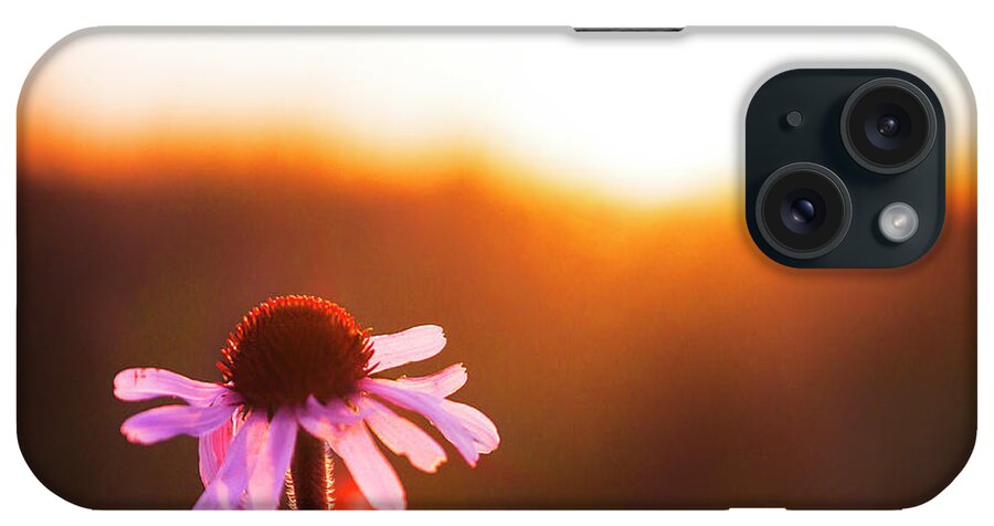  iPhone Case featuring the photograph Toasted Flower by Nicole Engstrom