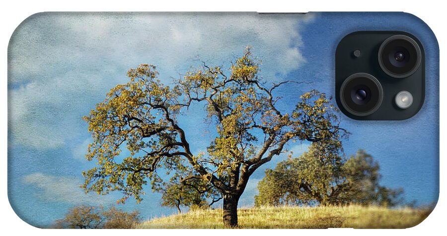 Sunol Regional Wilderness iPhone Case featuring the photograph Today's a Little Brighter by Laurie Search
