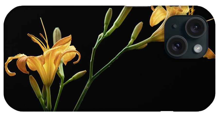 Daylily iPhone Case featuring the photograph Together for Today by Maggie Terlecki