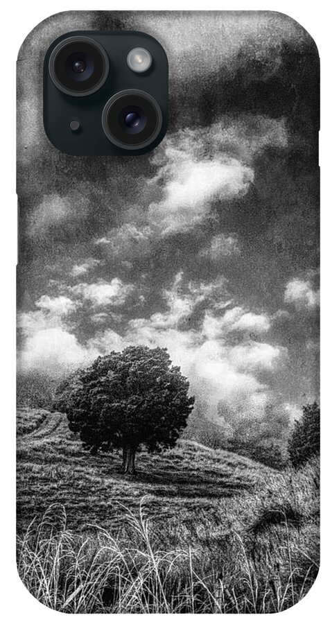 Tree iPhone Case featuring the photograph Tomorrow by Roseanne Jones