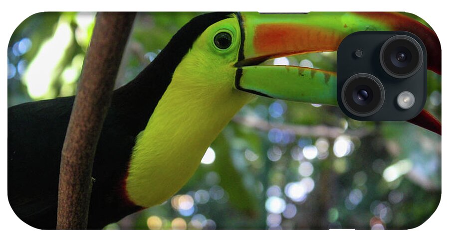 Colombia iPhone Case featuring the photograph Toucan in Colombia by Wilko van de Kamp Fine Photo Art