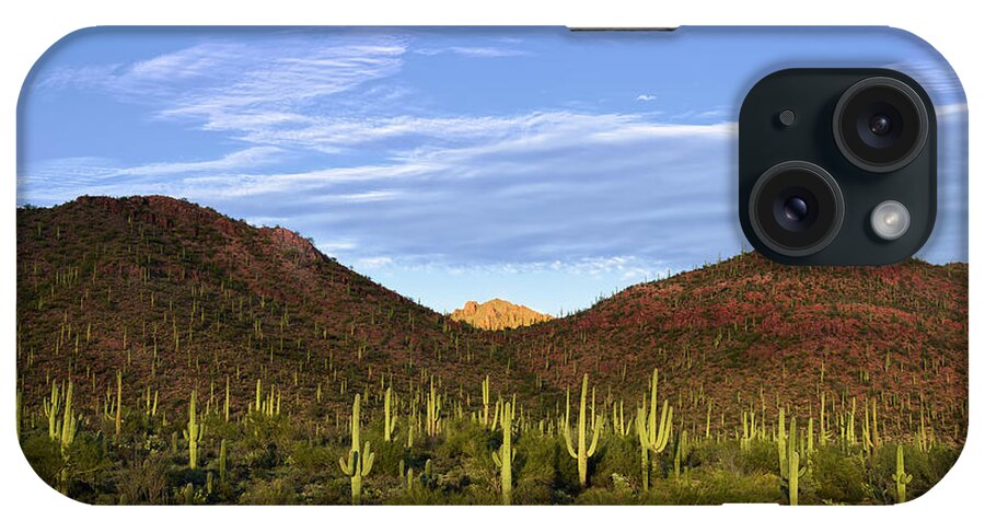 Arizona iPhone Case featuring the photograph Tower Peak Peeks Light by James Covello