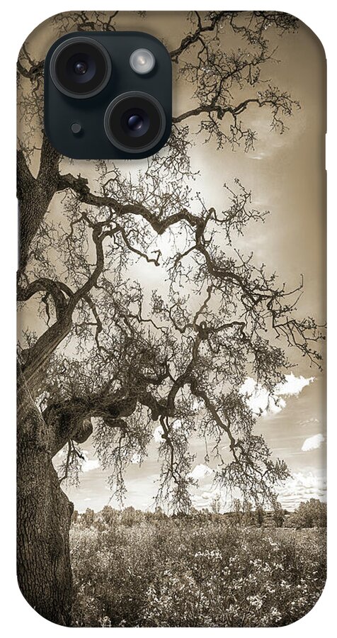 Tree iPhone Case featuring the photograph TREE AND LIFE, SEPIA, California by Don Schimmel