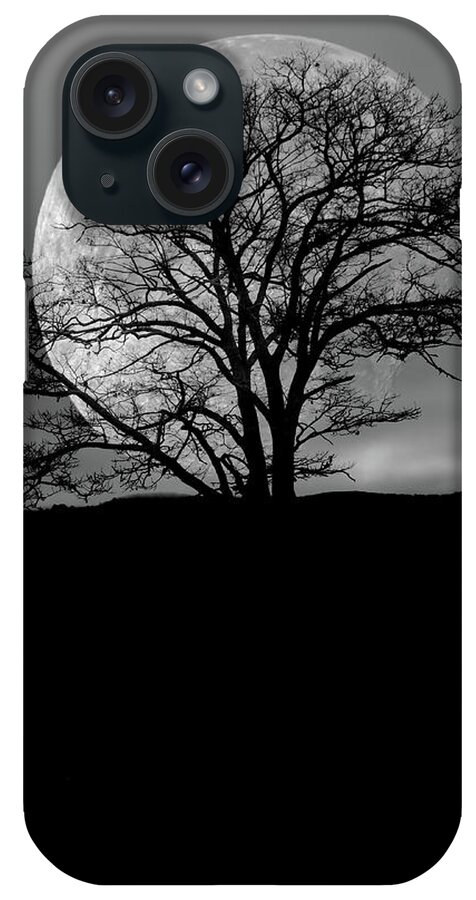 Moon iPhone Case featuring the photograph Tree and Moon by Bob Orsillo
