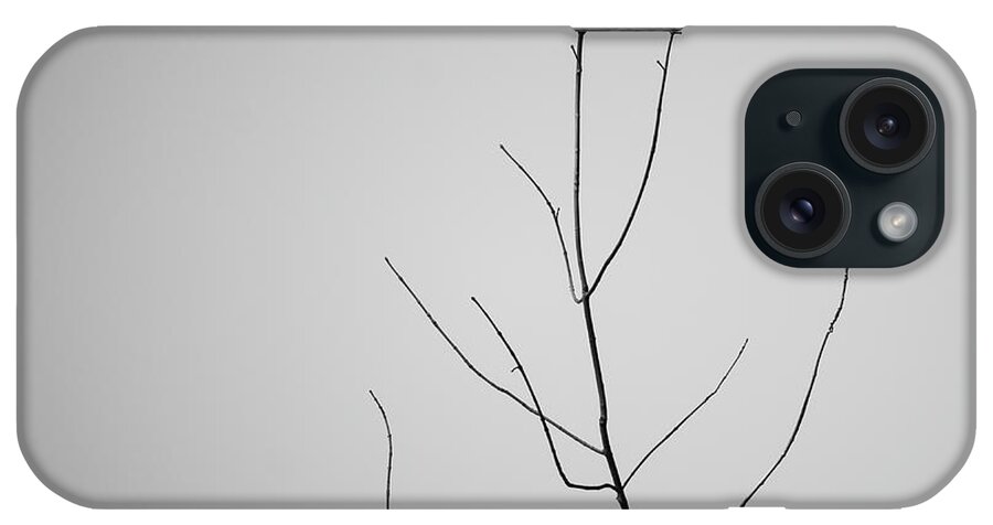 Abstract iPhone Case featuring the photograph Tree Branches IV BW by David Gordon
