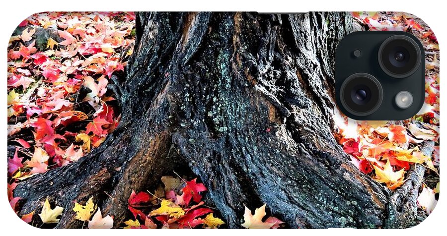 Tree Roots iPhone Case featuring the photograph Tree Confetti in Autumn by Linda Stern