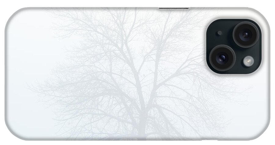 Fog iPhone Case featuring the photograph Tree in the Fog by Darren White