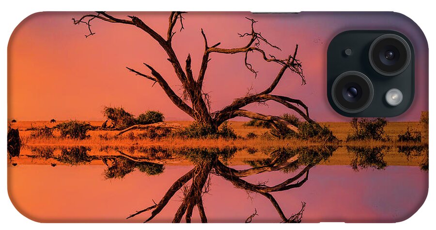 Tree iPhone Case featuring the photograph Tree Sunset by Roni Chastain