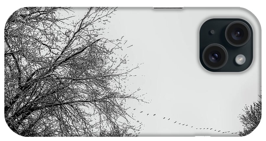 Tree iPhone Case featuring the photograph Trees in Winter's Snow with geese by Alan Goldberg