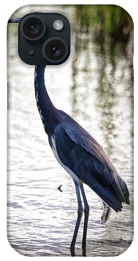 Heron iPhone Case featuring the photograph Tri-Colored Heron by Rene Vasquez