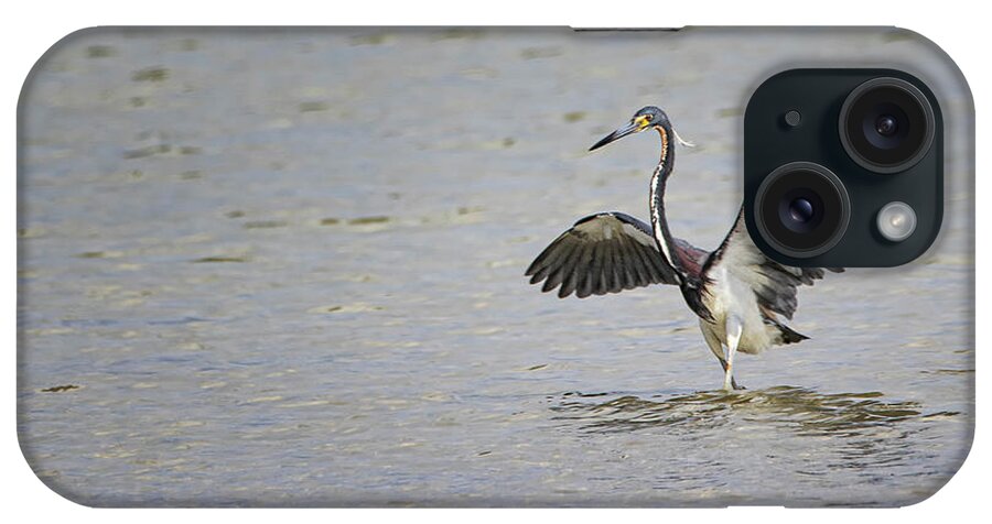 Tricolor Heron iPhone Case featuring the photograph Tricolor Heron at Cedar Island North Carolina by Bob Decker