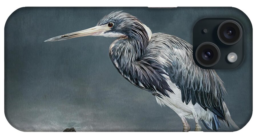 Tricolor Heron iPhone Case featuring the digital art Tricolor Heron by Maggy Pease