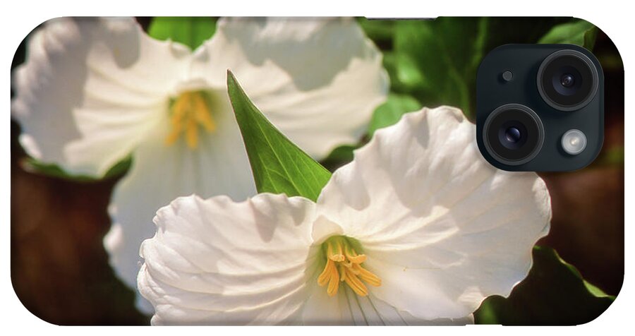  iPhone Case featuring the photograph Trillium Flowers by Louise Tanguay