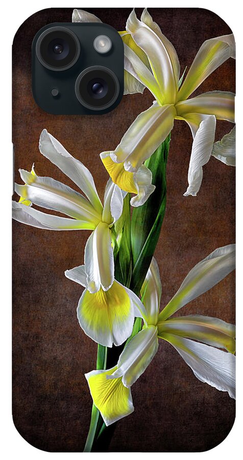 Triple White Irises iPhone Case featuring the photograph Triple White Irises by Endre Balogh